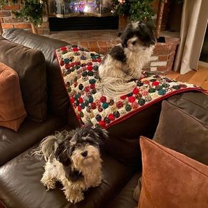 Meet your Posher, Zhanna